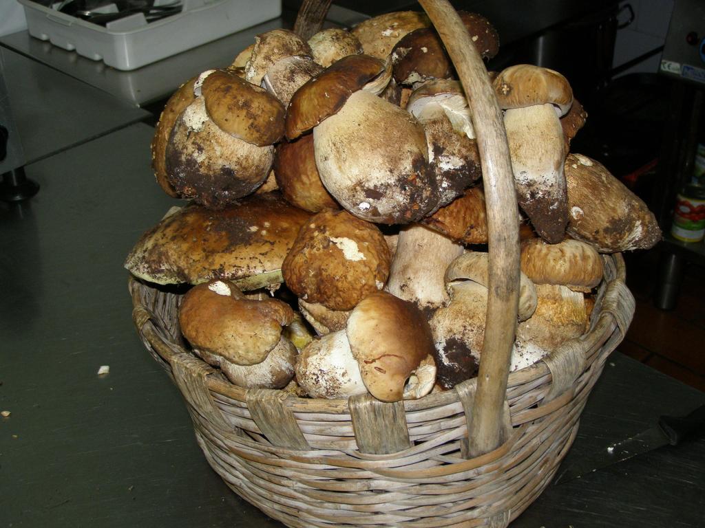 B&B Le Grazie Piaggine Zewnętrze zdjęcie