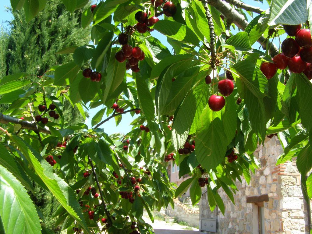 B&B Le Grazie Piaggine Zewnętrze zdjęcie