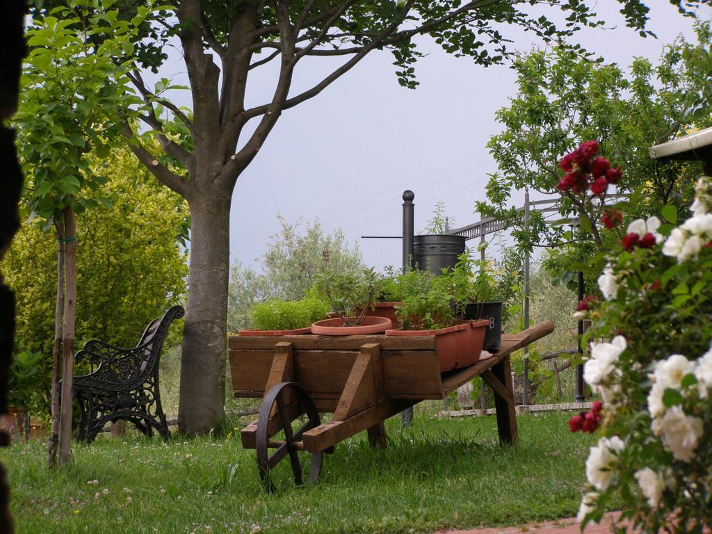 B&B Le Grazie Piaggine Zewnętrze zdjęcie