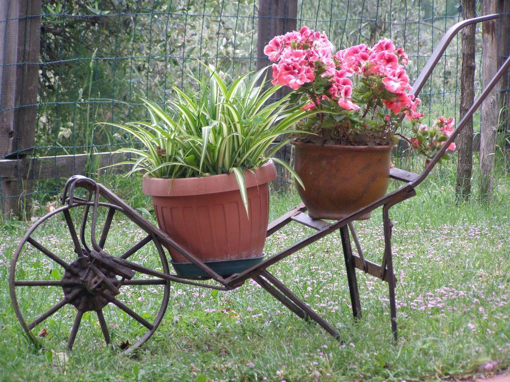 B&B Le Grazie Piaggine Zewnętrze zdjęcie