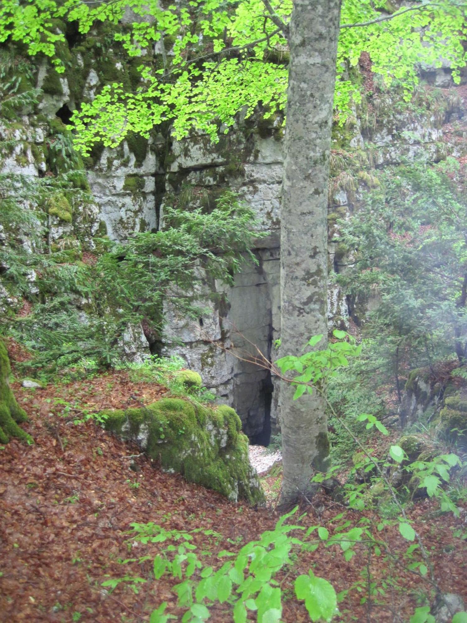 B&B Le Grazie Piaggine Zewnętrze zdjęcie