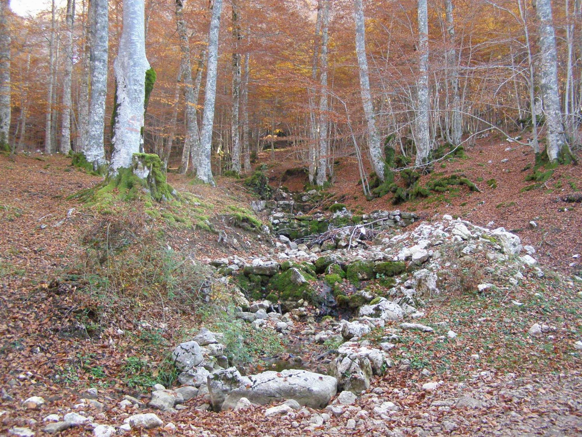 B&B Le Grazie Piaggine Zewnętrze zdjęcie