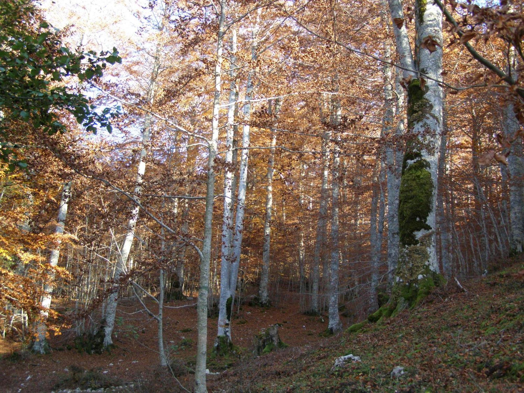 B&B Le Grazie Piaggine Zewnętrze zdjęcie