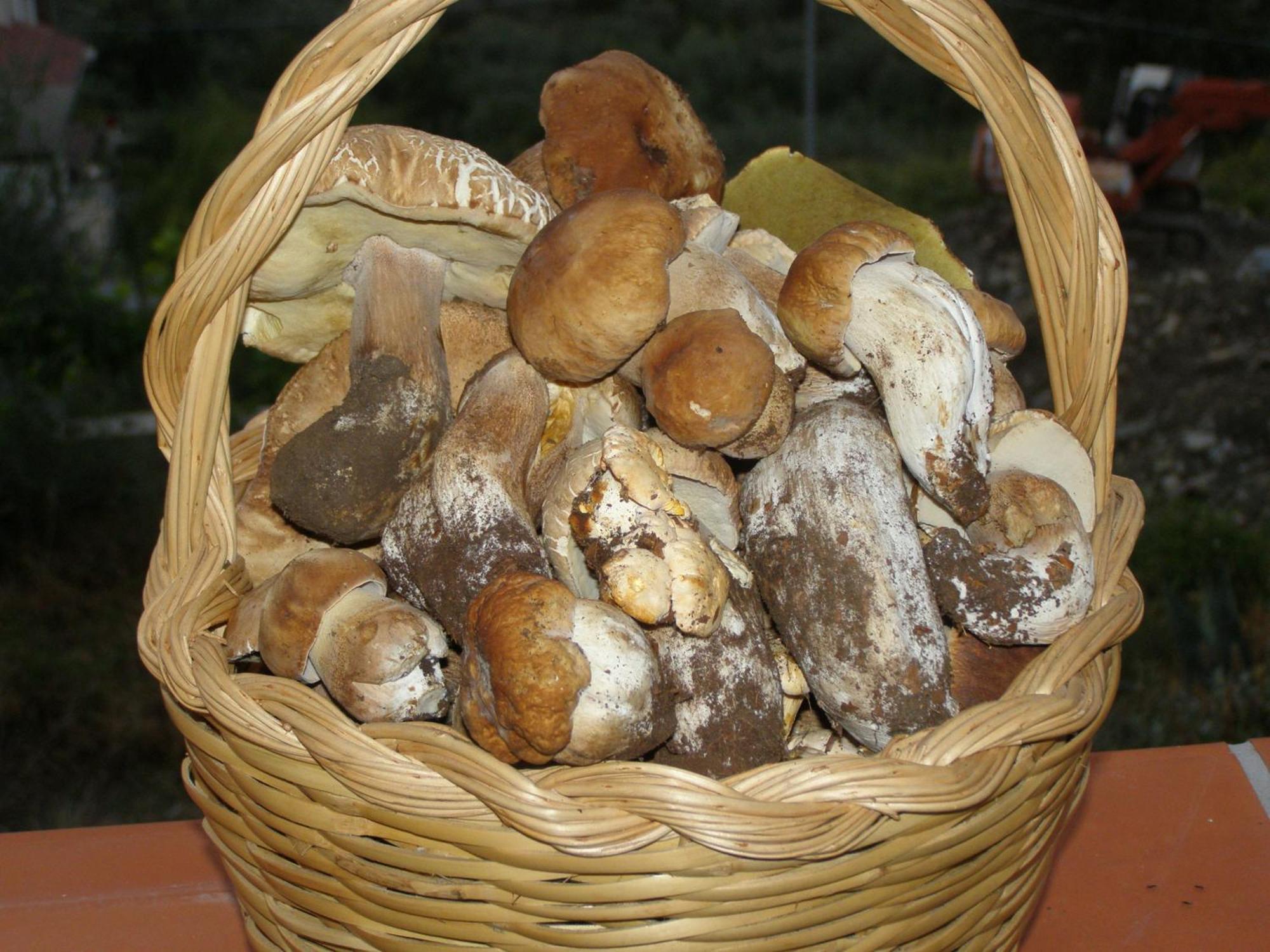 B&B Le Grazie Piaggine Zewnętrze zdjęcie